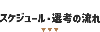 Schedule スケジュール・選考の流れ