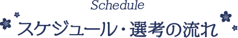 Schedule スケジュール・選考の流れ