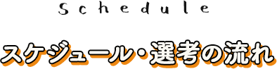 Schedule スケジュール・選考の流れ