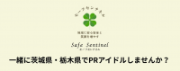 【茨城県／栃木県】セーフセンチネル 茨城県、栃木県をPRする地方アイドルの初期メンバー募集！