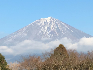 プロダクションイメージ