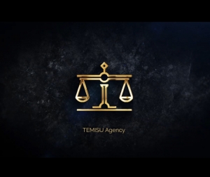 TEMISU Agency