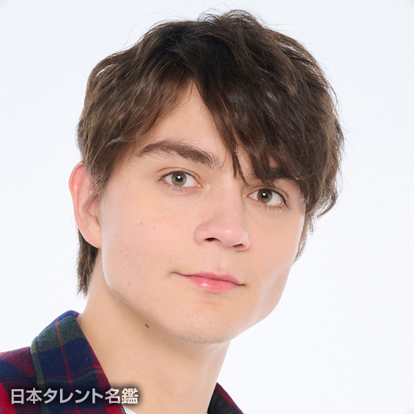 ハルバーソン　太陽