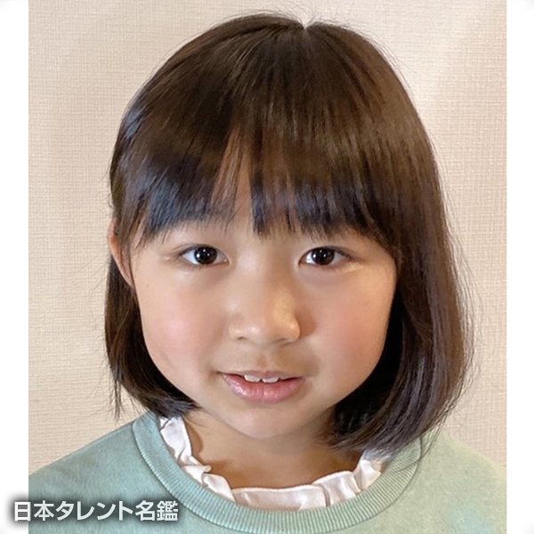杏圭
